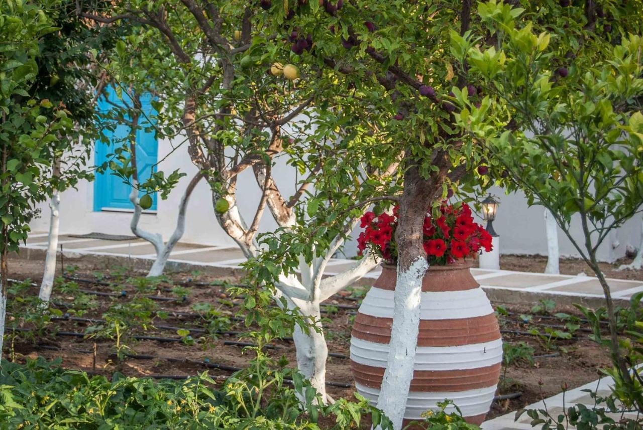 Perivoli 4-Chora Daire Agkidia Dış mekan fotoğraf